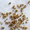 Provisions | Bellocq No. 53 Chamomile