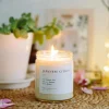 Candles | Brooklyn Candle Studio Japanese Citrus