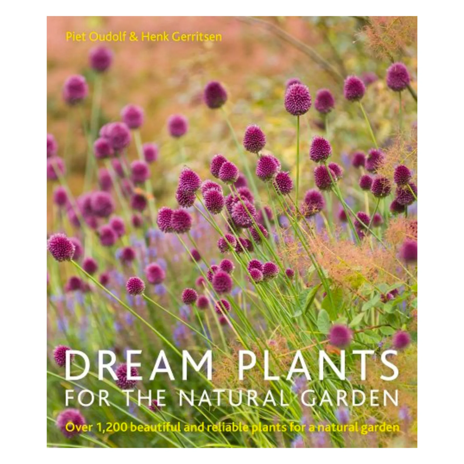 dream_plants_0.webp Books | Ingram Dream Plants
