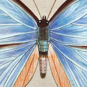 Pillows | John Robshaw Lapis Butterfly Pillow