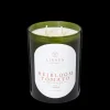 Candles | Linnea's Lights Linnea's Lights Double Wick Candle Heirloom Tomato