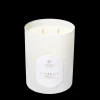 Candles | Linnea's Lights Linnea's Lights Double Wick Candle Satsuma Sage