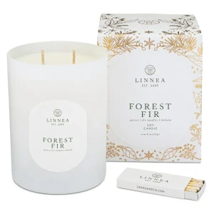 Candles | Linnea's Lights Linnea's Lights Forest Fir Double Wick Candle