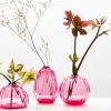 Home Decor | Pillows | Little Tomato Glass Bud Vases Raspberry
