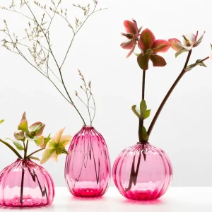 Home Decor | Pillows | Little Tomato Glass Bud Vases Raspberry