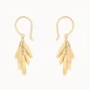 Jewelry | Sia Taylor 18K Tiny Daisy Earrings