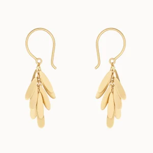Jewelry | Sia Taylor 18K Tiny Daisy Earrings
